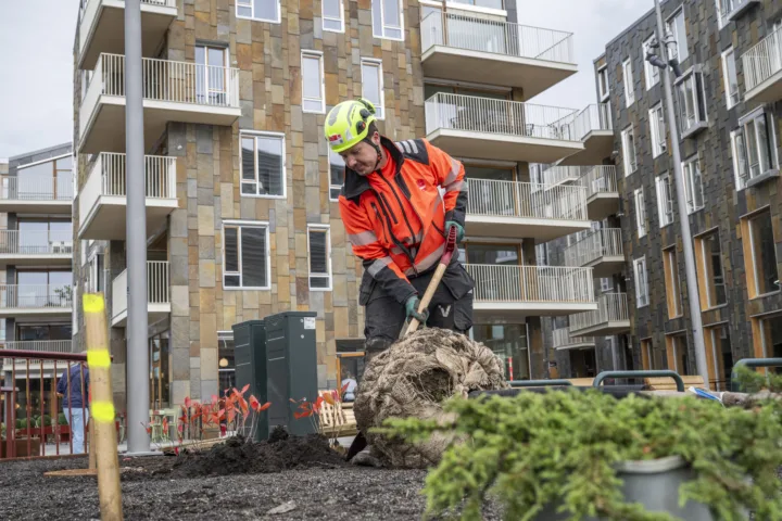 Tusenvis at planter settes ut i Bjørvika